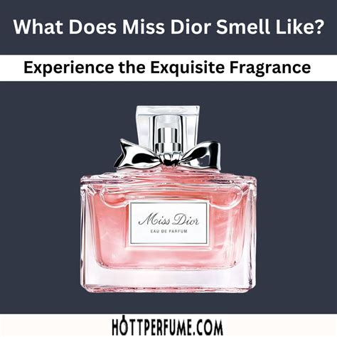 dernier miss dior|what does miss dior smell like.